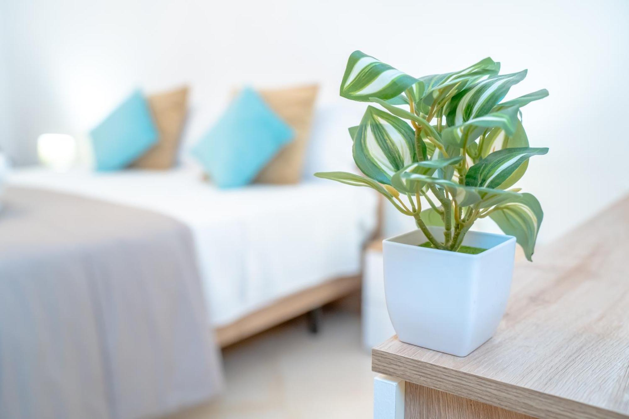 Apartmán Dimora Dante 310 Bari Exteriér fotografie