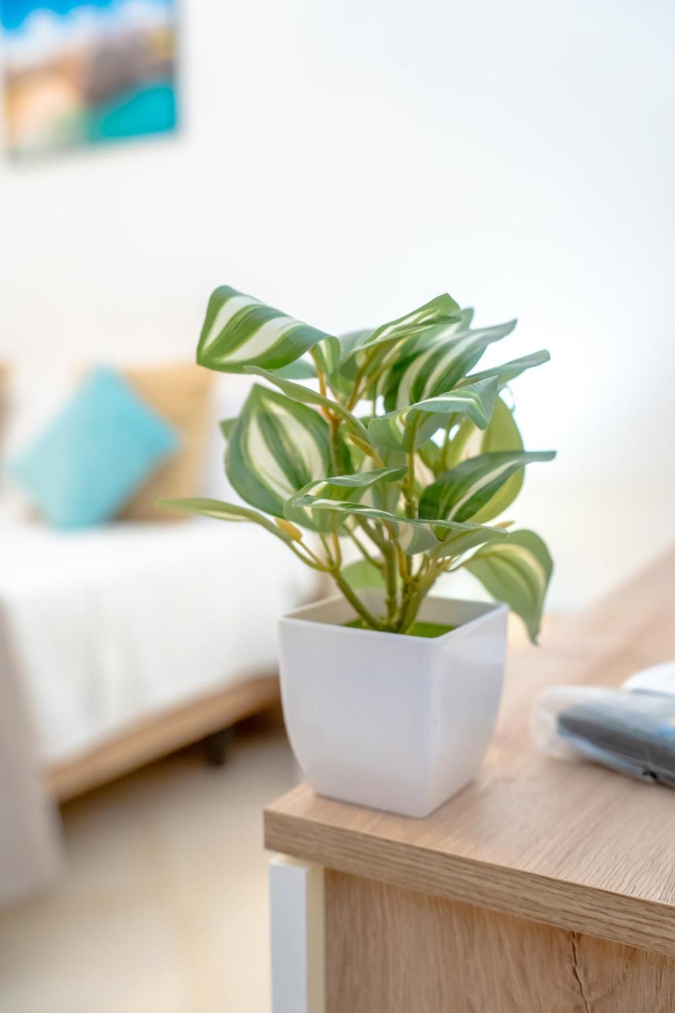 Apartmán Dimora Dante 310 Bari Exteriér fotografie